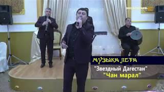 гр.Звездный Дагестан - Чан марал