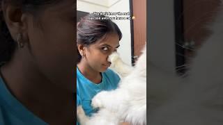  #cat #yourcat #youcat #felinefine