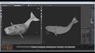 Unfold3D Selecting modes