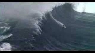 Step Into Liquid (trailer)