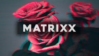 BIRDS ON THE ROSES - Matrixx (Official Audio)