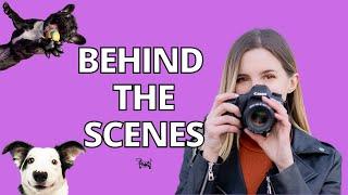 Behind the scenes DOG photoshoot! A day in the life of a dog photographer