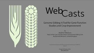 Webinar “Genome Editing: A Tool for Gene Function Studies and Crop Improvement”