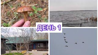 ДЕНЬ 1// ОРЛЫК, БАЗА «ОРЕХОВАЯ»️