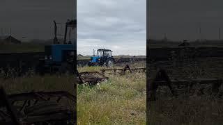 Картофельный папа рулит #music #agro #кфх #уборка #agriculture #сельскоехозяйство