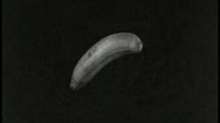 About Bananas (1935) Part Two