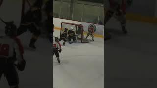Reverse Michigan hockey goal by 10 year old 