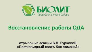 Восстановление работы ОДА. Отрывок из лекции В.Н. Бурковой «Постковидный хвост»