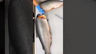 Cutting Whole Fresh Salmon Fish Fillet#shorts
