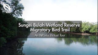 Sungei Buloh Wetland Reserve Migratory Bird Trail | An NParks Virtual Tour