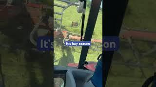 Fluffing the old hay #music money for nothing