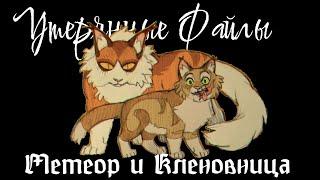 #38 Утерянные файлы/Метеор и Кленовница/ Коты воители