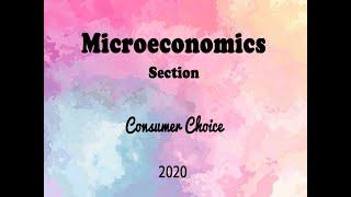 Microeconomics - Consumer Choice