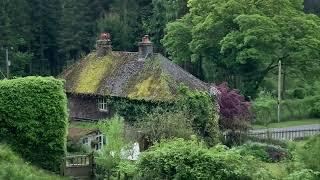 Nant-y-bedd: a forest garden in the Black Mountains