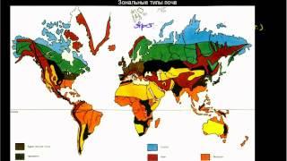 173 Зональные типы почв