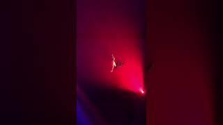 Dimitry Kudrya - aerial chains. Beauty and the beast performance