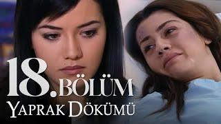 Yaprak Dökümü 18. Bölüm - Full Bölüm