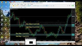 В обновлении робот сеточник - Signal Grid будет сам по сигналам сетку строить!