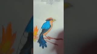 Bird study  #cover #dalengdale #birdstudy#aahana's talent#trending #viralvideo
