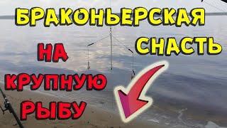 Браконьерская снасть для крупной рыбы