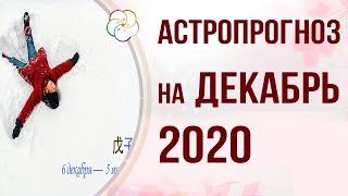 БАЦЗЫ 2020: АСТРОПРОГНОЗ на ДЕКАБРЬ 2020 года. 6 декабря — 5 января месяц Земляной Крысы 戊子