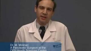 Pancreatic Cancer Patients Guide: 1 - Introduction