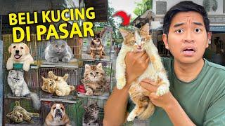 PERTAMAKALI BELI KUCING DI PASAR TERBESAR DI YOGYAKARTA! AKHIRNYA PELIHARA KUCING?!