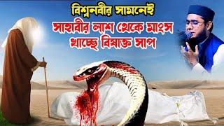 বিশ্বনবীর সামনেই সাহাবীর কাফনে সাপের আক্রমন shahidur rahman mahmudabadi new waz 2024 মাহমুদাবাদী