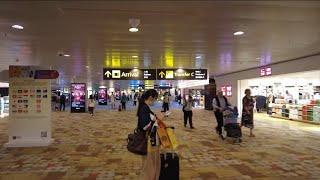 Singapore Airport Arrival Terminal 1 2025 SIN