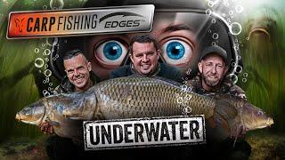   4 hours of mind blowing UNDERWATER action  | Fox Carp Fishing Edges Underwater (FULL FILM)