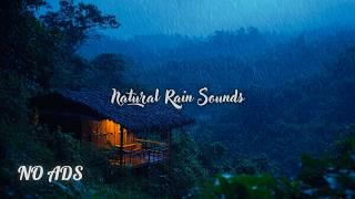 Tropical Rain in the Jungle   Relaxation and Nature Sounds for Sleeping