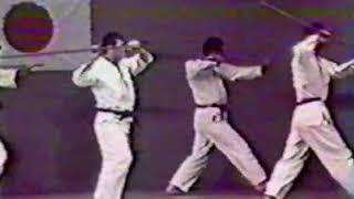 Matayoshi Kobudo Jo Kata Group Demonstration