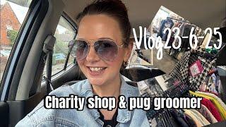 Mondays vlog charity shop & pug groomers 23/6/25 #vlog #reallifevlogs