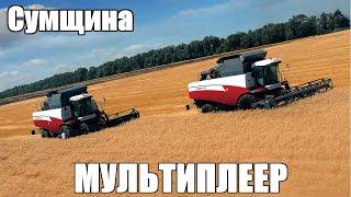  FS 19 -  Сумщина -  / Тесты карты /МУЛЬТИПЛЕЕР/УБОРОЧНАЯ #1 Сезон/С.Б. #10