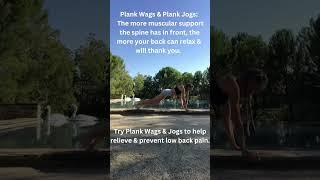 Low Back Pain Gone: 2 Simple Moves ‍️