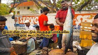 வஞ்சரம் மீன் | 20 KG | PER KG 800 VANJARAM FISH | KASIMEDU SELVAM |