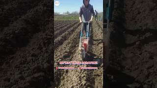 Сеялка 16Н2 нўхот экиш жараёни #agro #vetapteka #сеялка #seyalka #urug #nuxot #apparat #makkajuxori