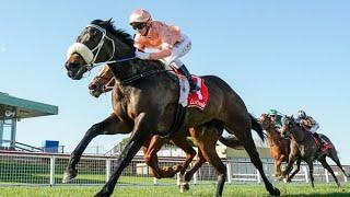 BLACK CAVIAR’S DAUGHTER, INVINCIBLE CAVIAR WINS HER MAIDEN. 22-Aug-2021.