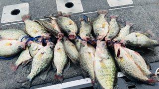 WHERE TO FIND CRAPPIE IN JUNE‼️ CRAPPIE FISHING 2025‼️
