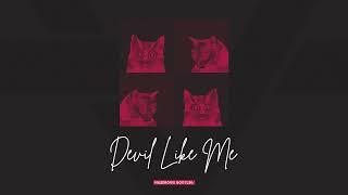 Rainbow Kitten Surprise - Devil Like Me (Nazdrovie Remix)