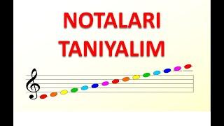 NOTALARI ÖĞRENİYORUZ - NOTALAR VE PORTE ÜZERİNDEKİ YERLERİ - NOTA EZBERLEME -  NOTALARI TANIYALIM