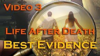 Evidence You Will Never Die: Areas 11 to 14 Uncovered in New Research