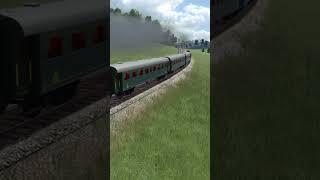 TRANSPORT ZEN #shorts