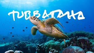 Diving Philippines' Crown Jewel: Tubbataha Reefs // Life, Uncharted Ch. 01 [Documentary]