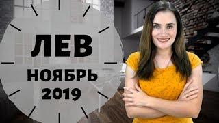 ЛЕВ. Гороскоп на НОЯБРЬ 2019 | Алла ВИШНЕВЕЦКАЯ