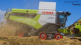 LEXION 6700 en démonstration à l'ETA COZANNET | Claas Bretagne Nord