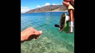 Fish a Woolly Bugger Just Like This...