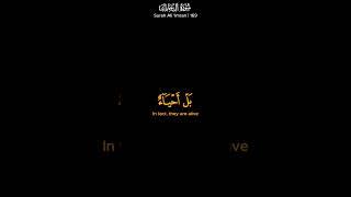 They are alive!! | Muhammad Al-Luhaidan | Surah Ali 'Imran 169