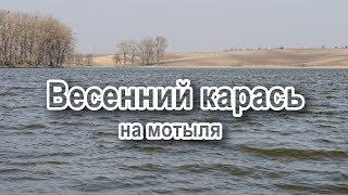 Весенний карась на мотыля.