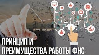 ФНС России: механизм работы налоговых органов